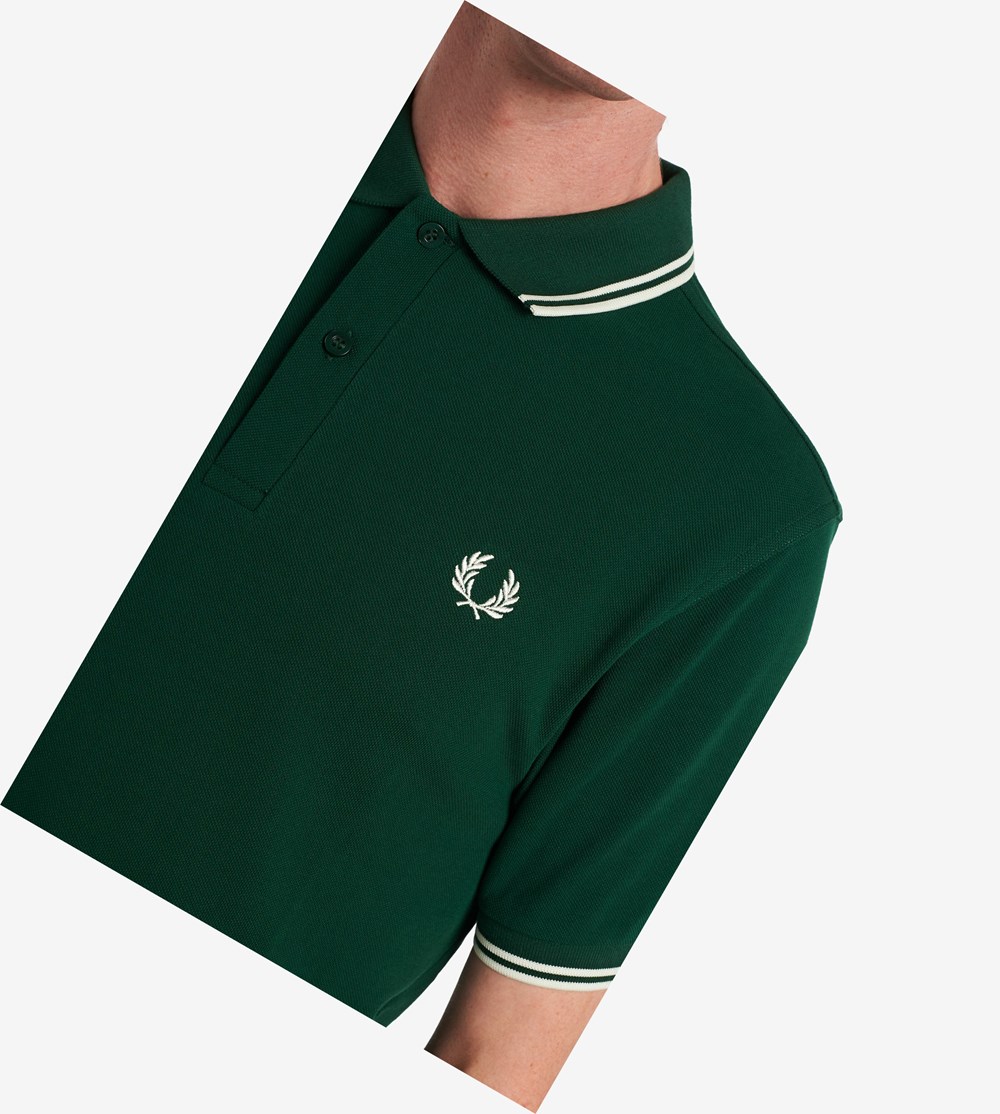 Dark Green / White Fred Perry M3600 Men's Polo Shirts | NOPAB-9638