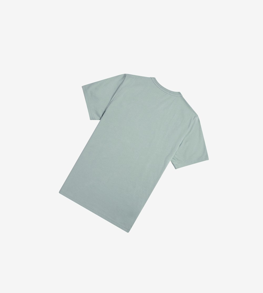 Silver Blue Fred Perry Laurel Wreath Print Men's T Shirts | WIYHC-2915